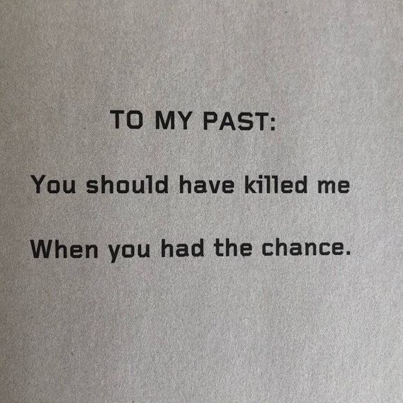 RISE Surviving the Fight of My Life -Paige Vanzant - Picture 12 of 12